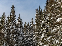 Camp Mercier